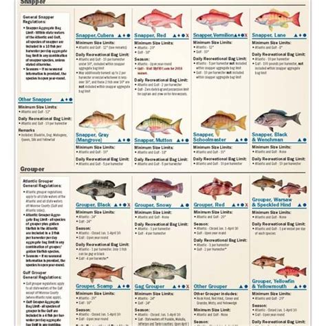 Recreational fishing rules .